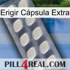 Erigir Cápsula Extra 08